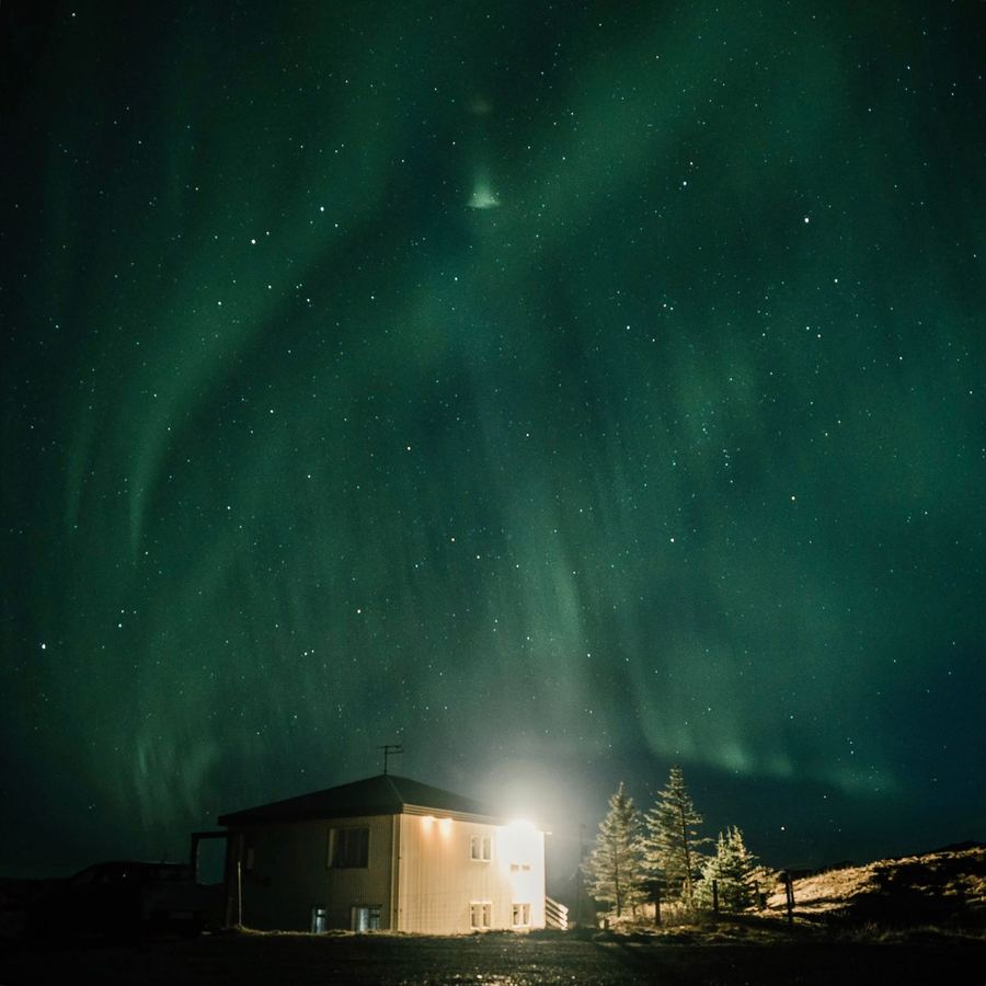 Green aurora filling a starry sky above a single lit farmhouse and a row of small conifers